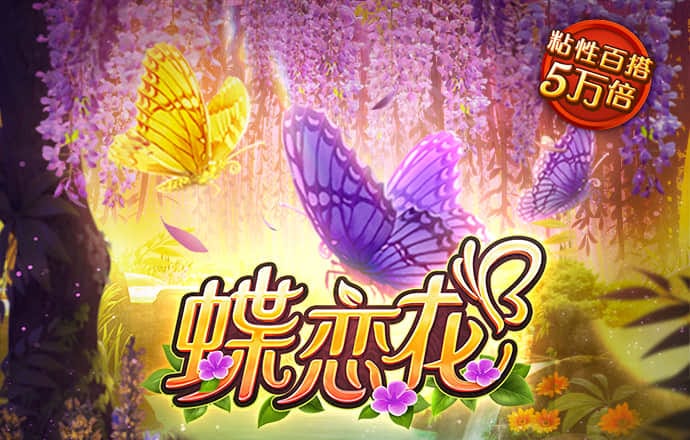 d3顶盛体育